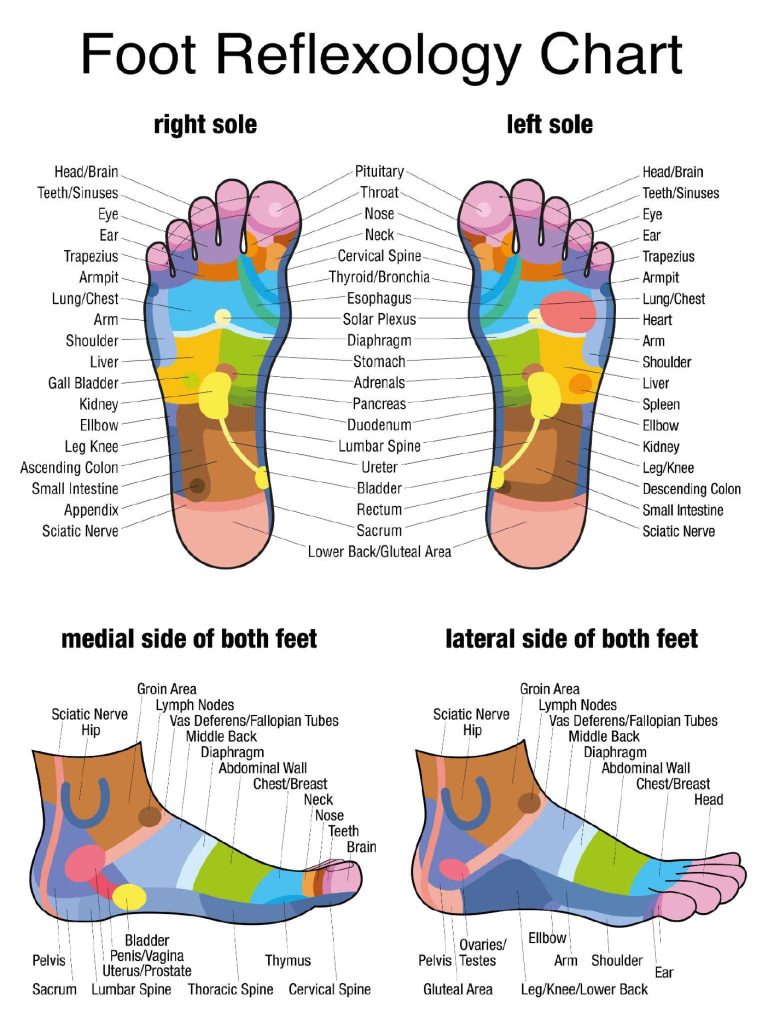Foot reflexology graphic chart, showing areas of the foot that correspond to other regions of the body