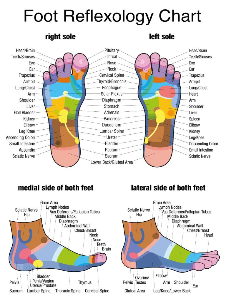 full body reflexology chart