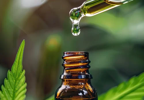 How Do You Use Aromatherapy Oils?